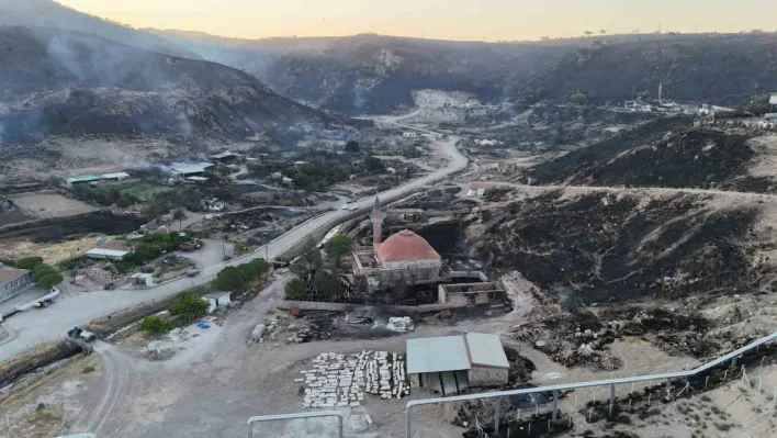 (ÖZEL) Ayvacık'ta 4 köyün etkilendiği orman yangınında bin 960 futbol sahası büyüklüğünde alan yandı