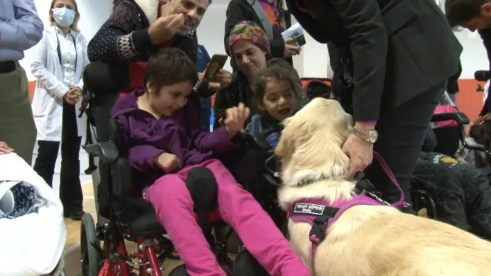 Özel eğitimli terapi köpekleri hastaların tedavisine destekte aktif rol oynayacak