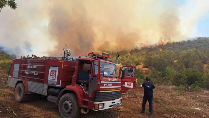 (ÖZEL) Orman yangınlarında var gücüyle çalışan itfaiyeciler hayvanlara da büyük şefkat gösteriyor