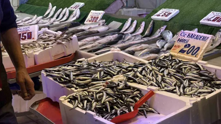 Palamudun yokluğunu Karadeniz'in vazgeçilmezi hamsi tamamlıyor