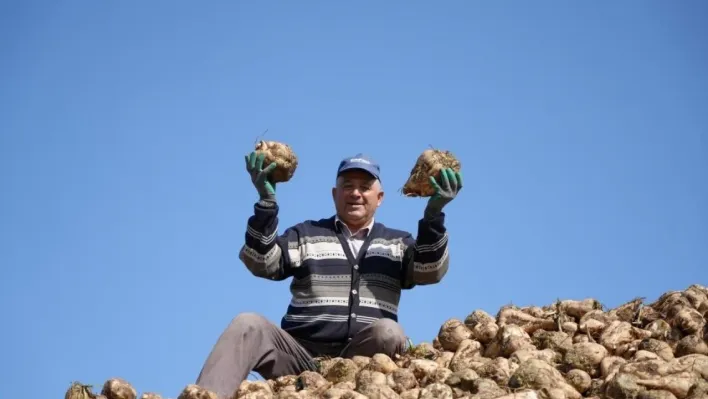 Pancar üretiminde düşüş şeker arzında sorun oluşturmayacak