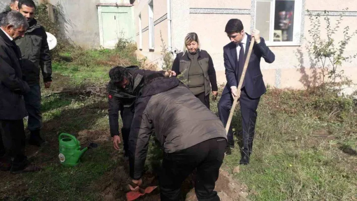 Pazaryeri'nde fidanlar toprakla buluştu