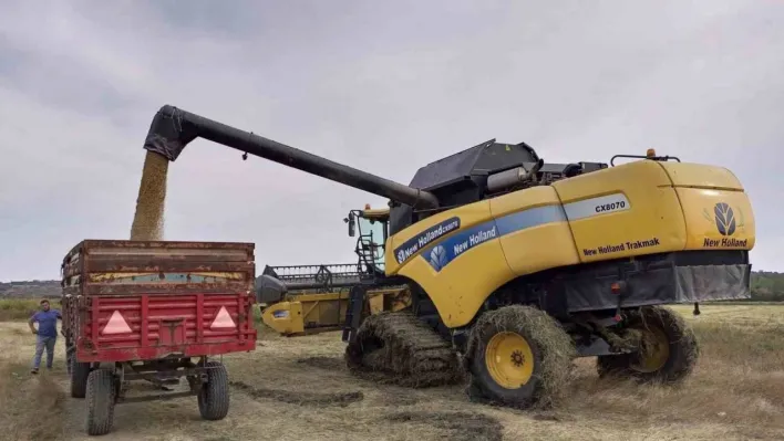 Pehlivanköy'de çeltik hasadı başladı