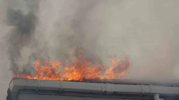 Pendik'te 3 katlı iki binanın çatısı alevlere teslim oldu
