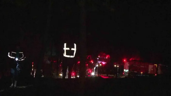 Pendik'te ormanlık alanda çıkan yangın kontrol altına alındı