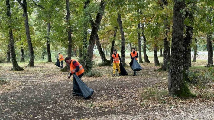 Piknikçilerin bıraktığı çöpleri topladılar