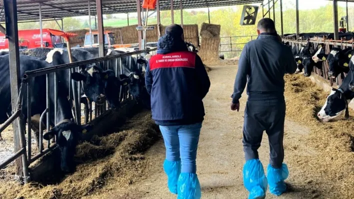 Pınarhisar'da ari hayvan işletmelerindeki çalışmalar incelendi