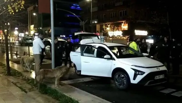 Polis uyuşturucu aradı, sokak köpekleri seyretti