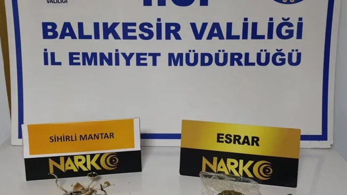 Polisten 'sihirli mantar' operasyonu