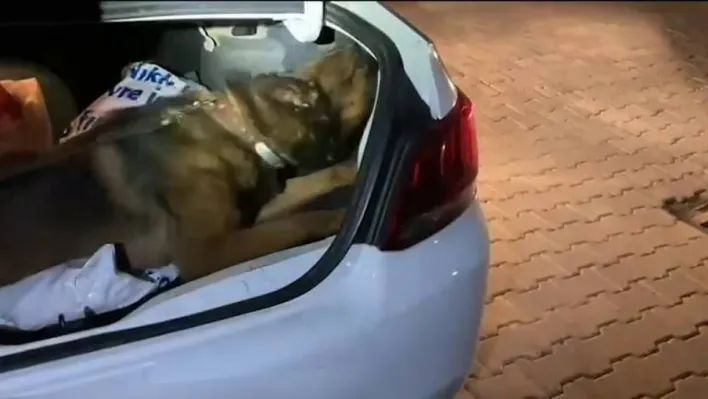 Polisten uyuşturucu operasyonu: 10 günde 88 kişi yakalandı