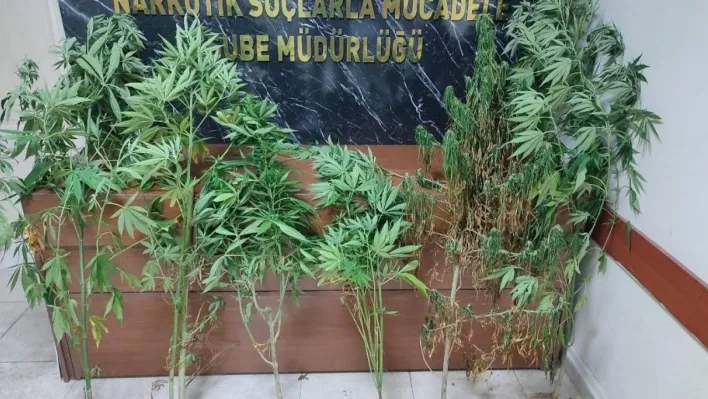 Polisten uyuşturucu operasyonu: 5 günde 43 şüpheli yakalandı