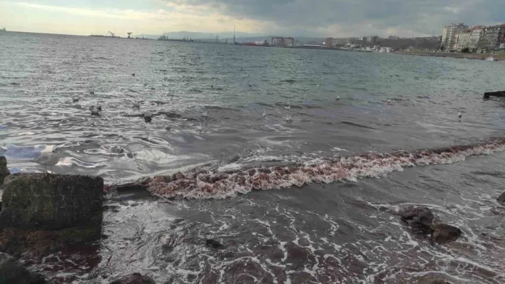 Poyraz fırtınası Marmara Denizi'ni kıyılarını kızıl renge boyadı