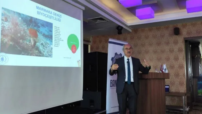 Prof. Dr. Sarı: 'Marmara Denizi'nde balık türlerimiz azaldı, habitat kayıpları yaşanıyor'