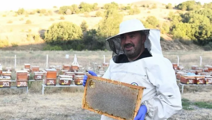 Pursaklar'da bal hasadı başladı