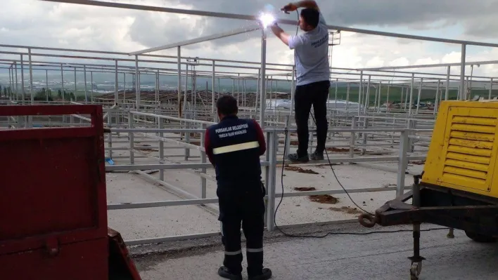 Pursaklar Kurban Bayramı'na hazırlanıyor
