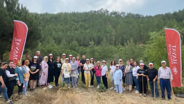 Sağlık çalışanları ağaçların da bakımını yaptı