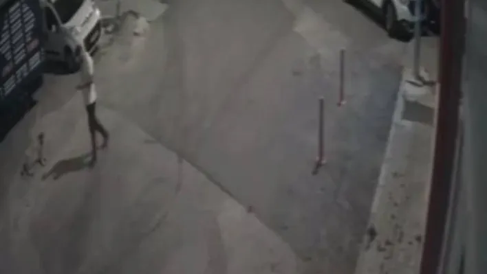 Sahipsiz köpeği bıçaklayarak öldürdü: Görüntüler güvenlik kamerasına yansıdı
