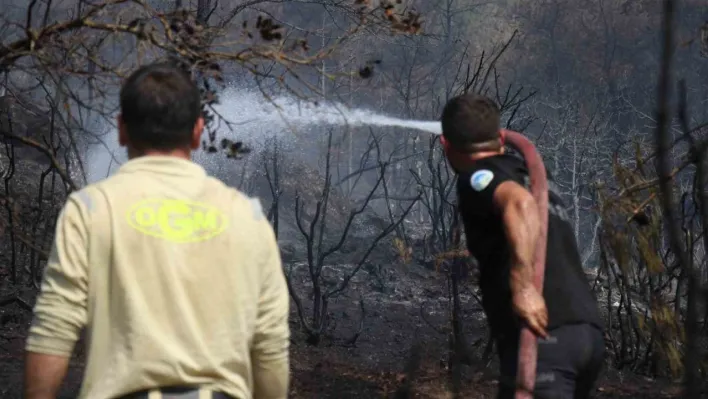 Sakarya-Bilecik sınırında alevler yeniden yükseldi: Hızlı müdahale yayılmayı önledi