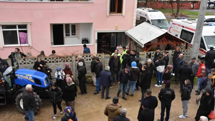 Sakarya'da acı olay: Asırlık çınar, yanarak hayatını kaybetti