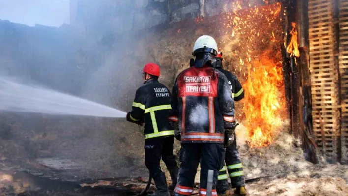 Sakarya'da ahşap atölyesinde korkutan yangın