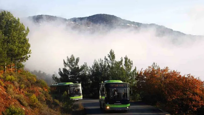 Sakarya'da arefe gününde mezarlıklara ulaşım ücretsiz