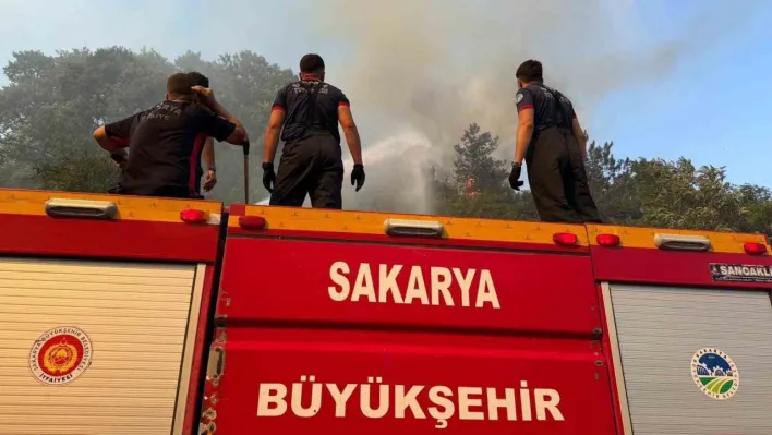 Sakarya'da ateş savaşçılarının zorlu 4 günü