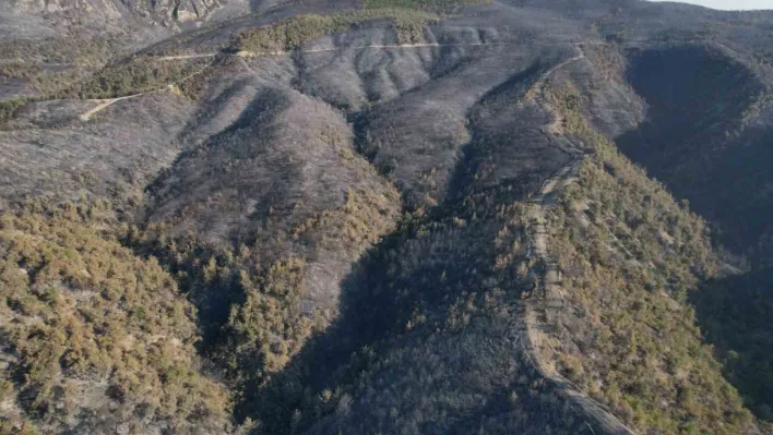 Sakarya'da dumanlar dağıldı, yangının hasarı ortaya çıktı