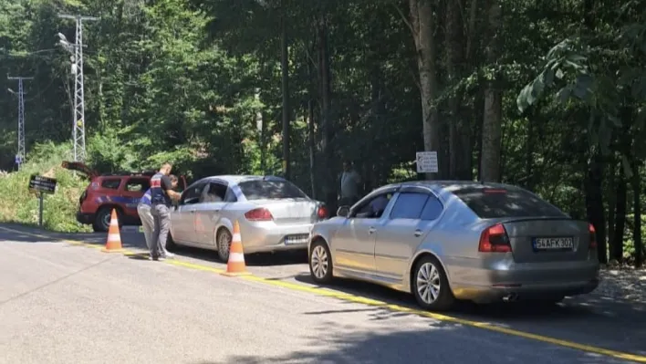 Sakarya'da mesire yerleri ve yayla yollarına sıkı denetim