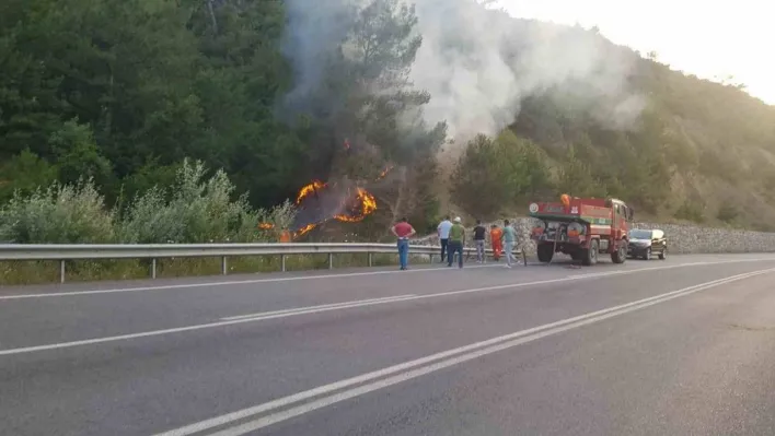 Sakarya'da orman yangını