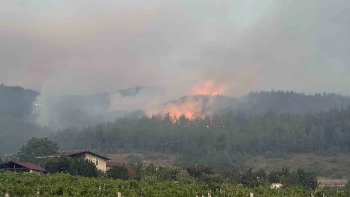 Sakarya'da orman yangınına 8 helikopter, 5 uçak müdahale ediyor