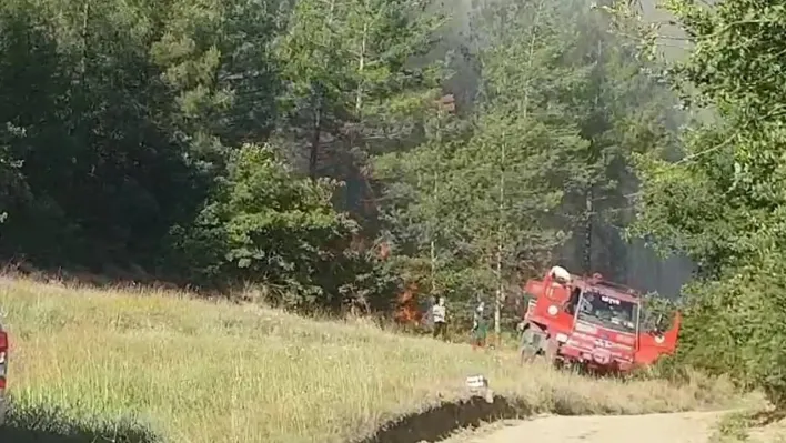 Sakarya'da orman yangınına havadan ve karadan müdahale sürüyor