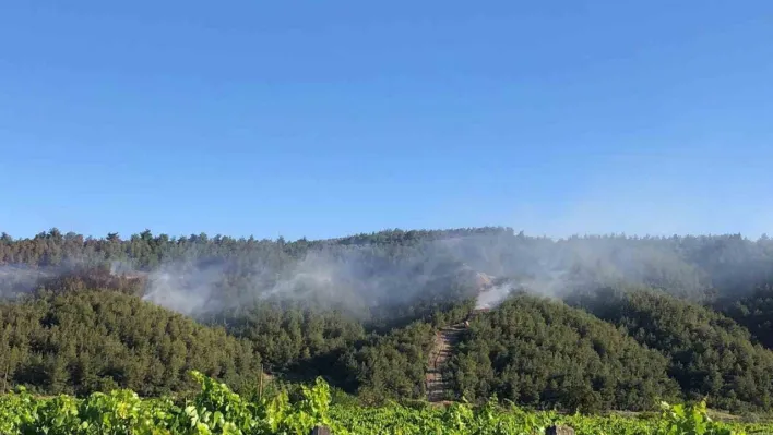 Sakarya'da ormanlık alanda çıkan yangına havadan ve karadan müdahale