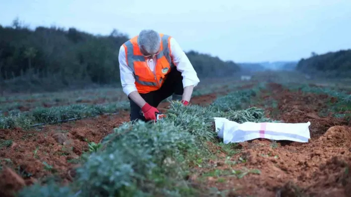 Sakarya'da tarımsal kalkınma hamlesi emekçiye nefes aldırdı