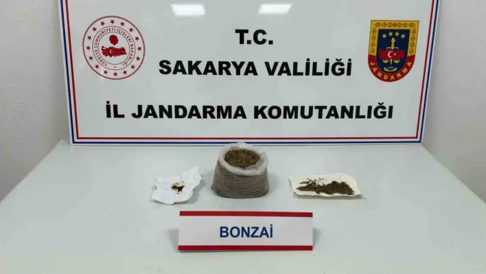 Sakarya'da uyuşturucu operasyonu: 1 tutuklama