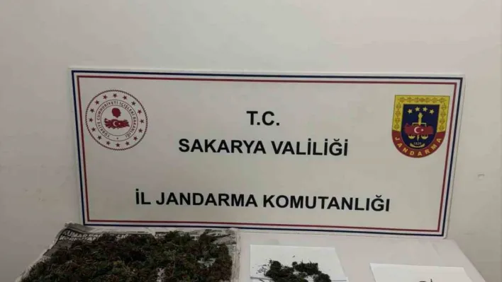Sakarya'da uyuşturucu operasyonu: 1 tutuklama