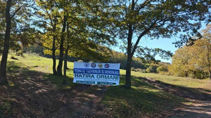 Sakarya'da yeşil geleceğe katkı: 22 bin fidan toprakla buluştu