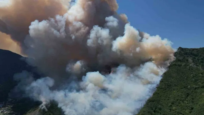 Sakarya'daki orman yangını havadan görüntülendi