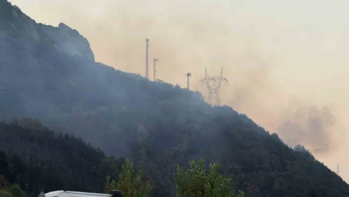 Sakarya'daki orman yangını kısmen kontrol altına alındı