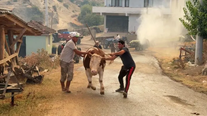 Sakarya'daki orman yangınına müdahale sürüyor: Bir mahalle tahliye ediliyor