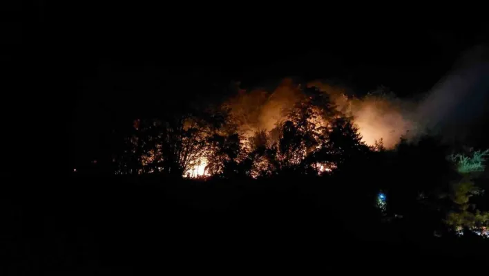 Sakarya'daki yangınla ilgili 1 kişi tutuklandı