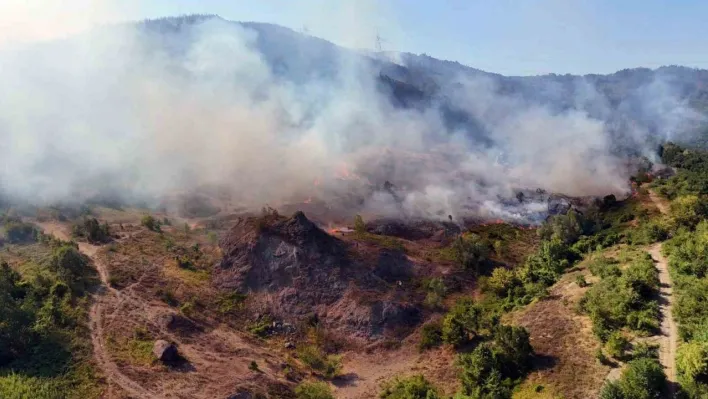 Sakarya-Düzce sınırındaki yangın bölgesi havadan görüntülendi
