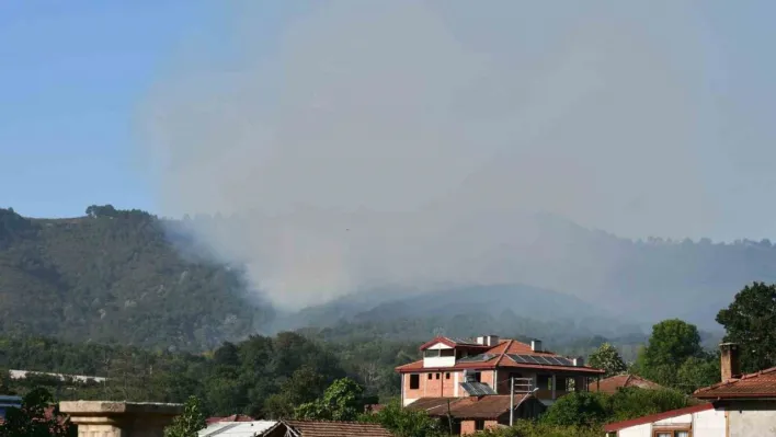 Sakarya Hendek'teki orman yangını kontrol altına alındı