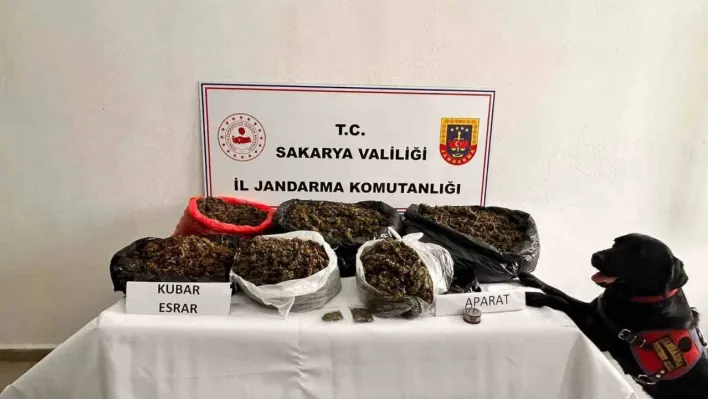 Sakarya Jandarmanın uyuşturucu ile mücadele raporu: 380 tutuklama