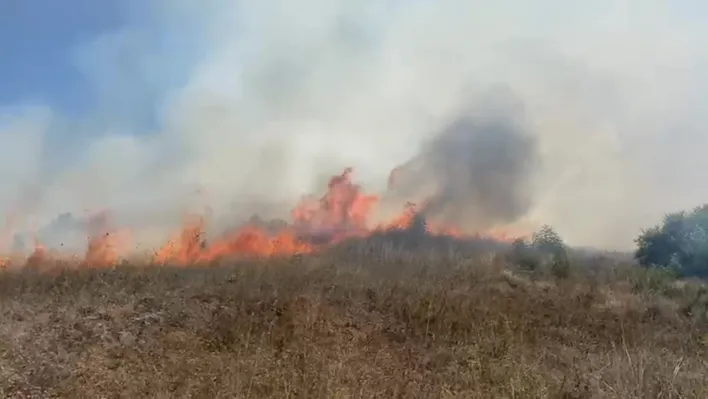 Sakarya Kaynarca'da makilik alanda yangın çıktı