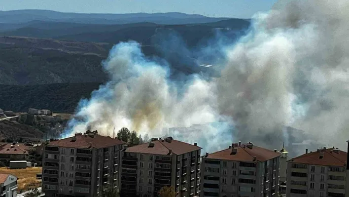 Salça yaparken çıkan kıvılcımla 30 dönüm makilik alanı kül oldu