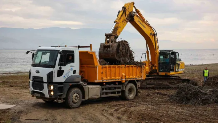 Sapanca Gölü kıyılarında ekosistemi koruyan temizlik