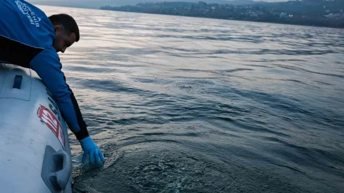 Sapanca Gölü'ndeki kabarcıkların sebebi belli oldu: Yeraltından doğal hava çıkışı