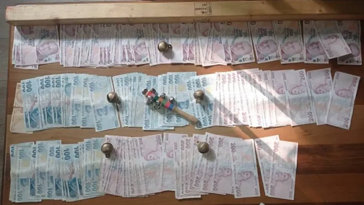 Sarıyer'de köpek dövüştürüp bahis oynayanlara operasyon: 24 gözaltı