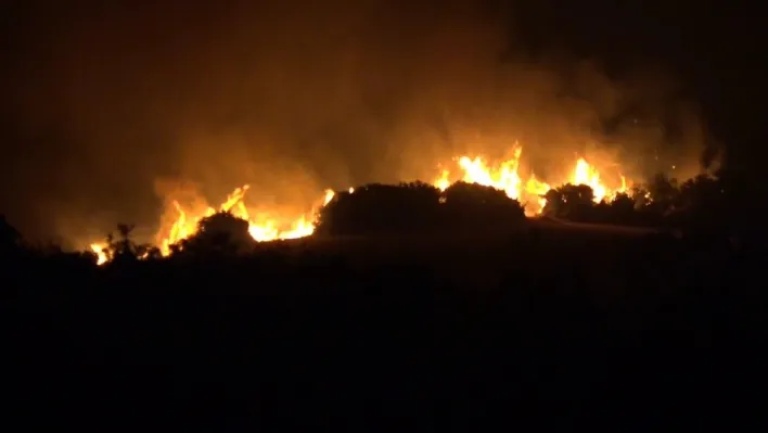 Şarköy'de orman yangını 10 saattir sürüyor