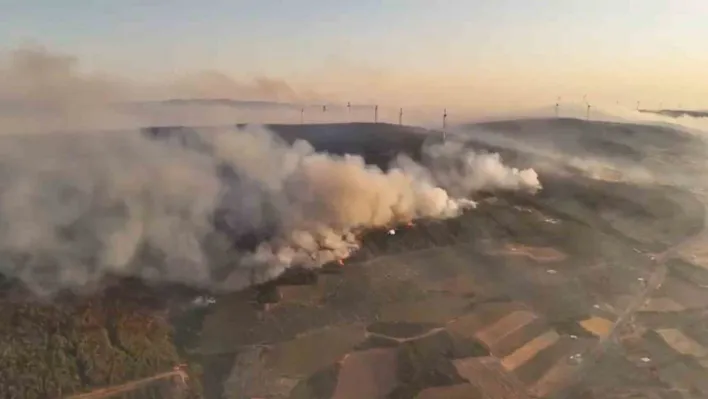 Şarköy'deki orman yangını 22. saatine girdi